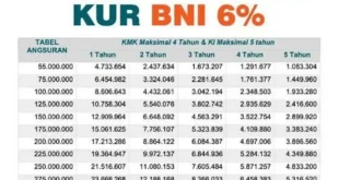 Tabel angsuran KUR BNI 2025