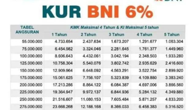 Simak Cara dan Syarat Ajukan KUR BNI 2025: Cocok untuk UMKM dan Wirausaha