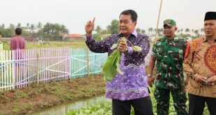Bupati Apresiasi Teknologi Insinerator Tanpa Asap di Desa Mekar Jaya Sepatan