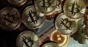 Cetak Volume Rp 15,24 Triliun, Indodax Sumbang 42,83% Transaksi Kripto Nasional