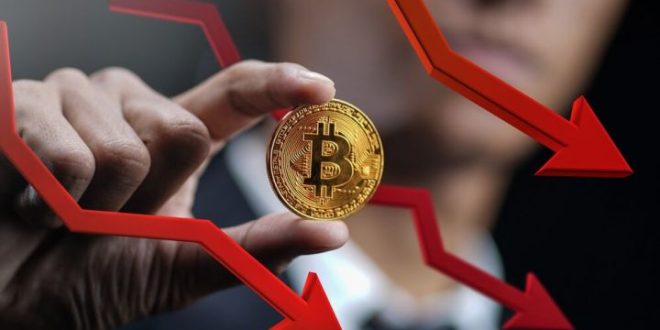 Harga Bitcoin Lesu setelah Capai Titik Tertinggi, Ini yang Harus Dilakukan Investor!