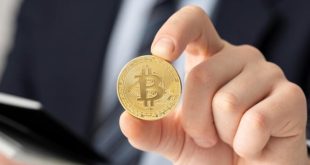 Jangan Asal Ikut-ikutan! Ini Deretan 5 Koin Kripto yang Dianggap Lebih Stabil untuk Pemula