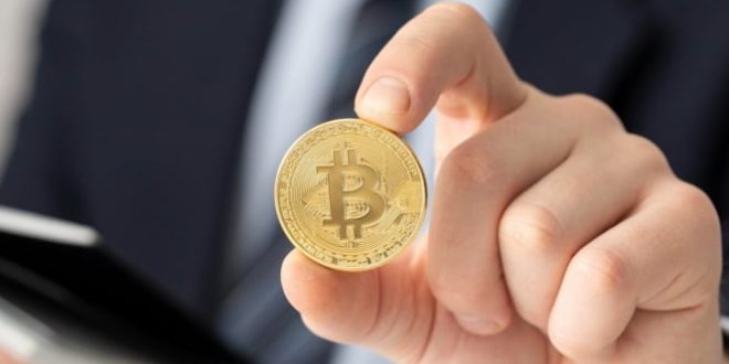Jangan Asal Ikut-ikutan! Ini Deretan 5 Koin Kripto yang Dianggap Lebih Stabil untuk Pemula