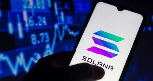 Menimbang Kripto Pilihan Saat Tren Bullish Datang
